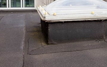 disadvantages of Tow House flat roofs