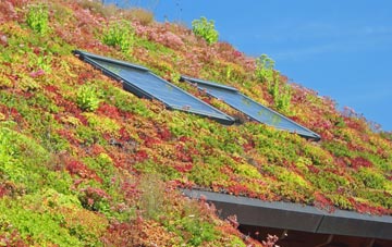 Tow House living roof systems