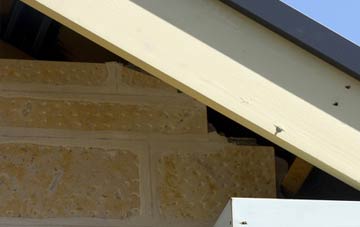 soffit repair Tow House