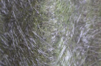 Tow House fibreglass roof work